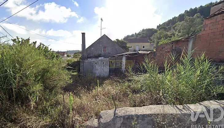 main-listing-picture-0