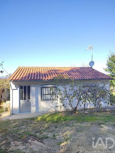 main-listing-picture-0
