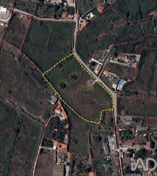 main-listing-picture-0
