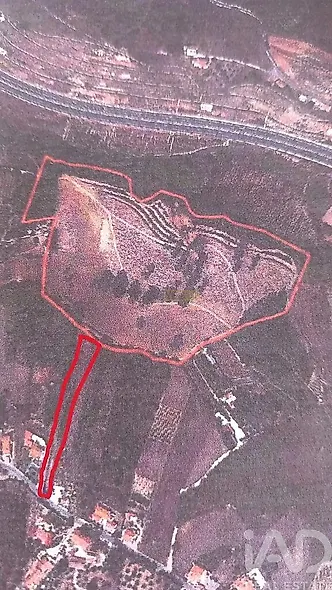 main-listing-picture-0