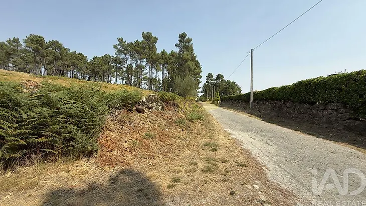 main-listing-picture-0