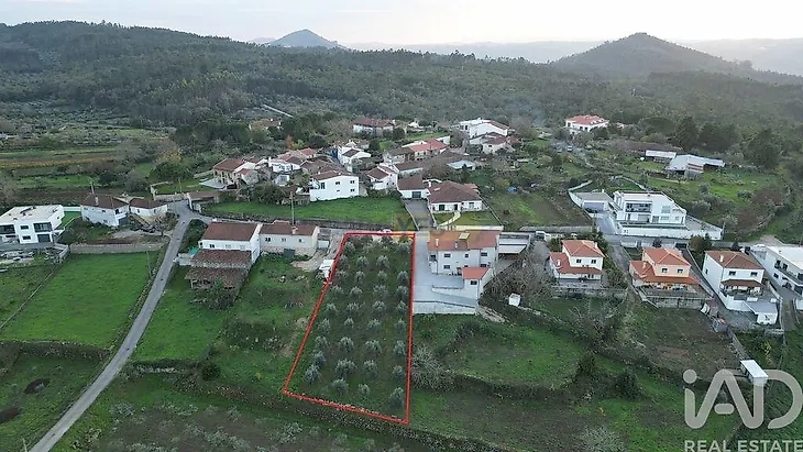 main-listing-picture-0