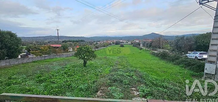 main-listing-picture-0