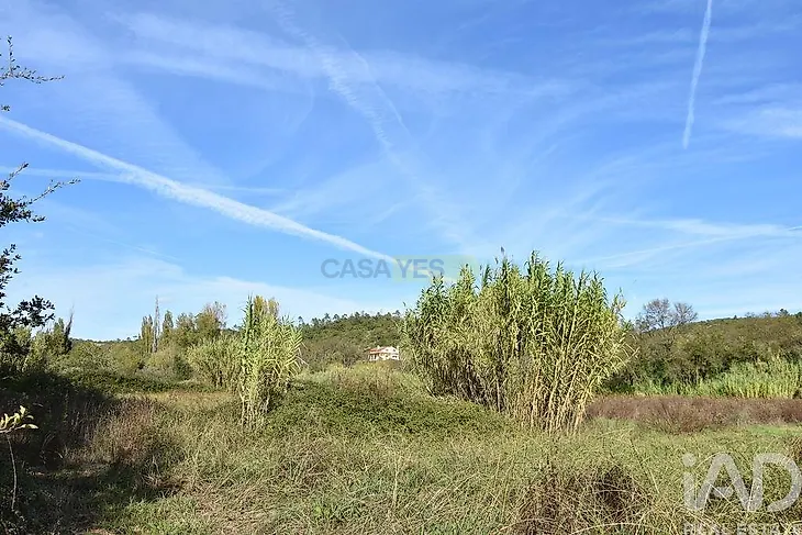 main-listing-picture-0