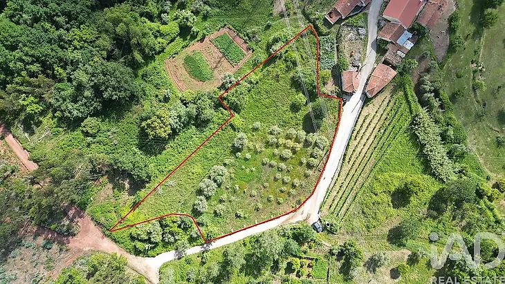 main-listing-picture-0