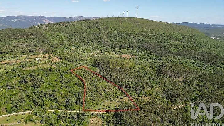 main-listing-picture-0