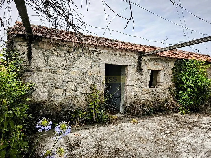 main-listing-picture-0