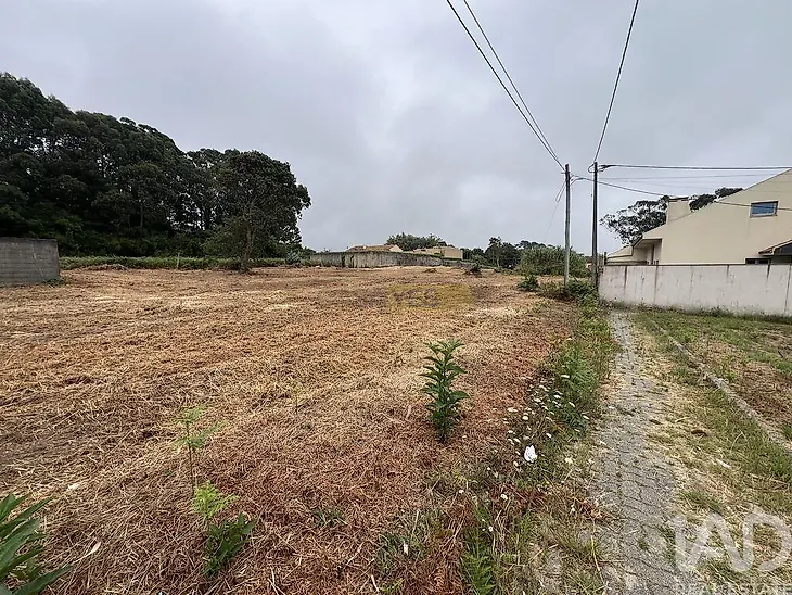 main-listing-picture-0