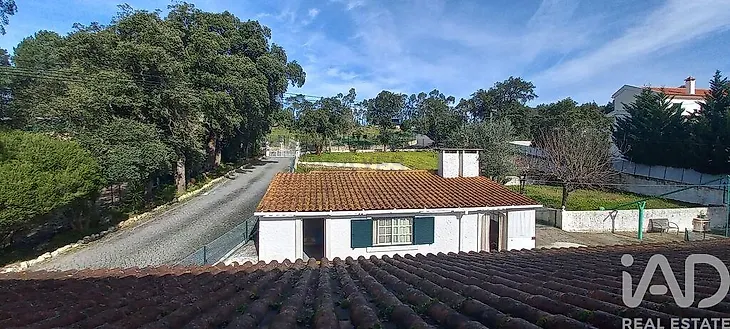 main-listing-picture-0