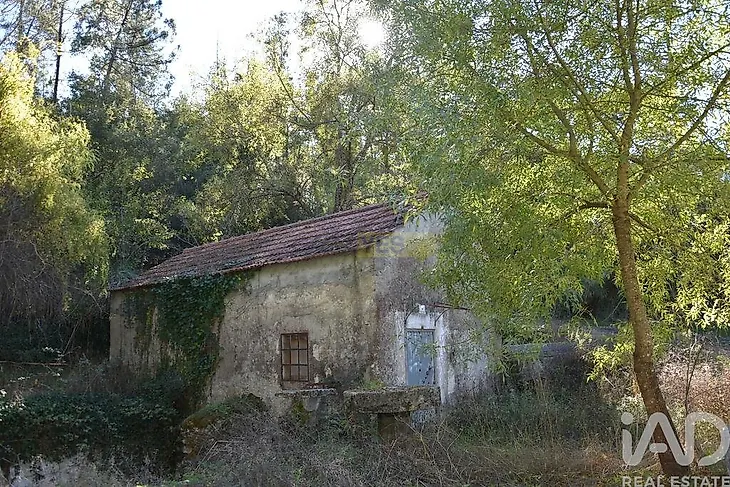 main-listing-picture-0