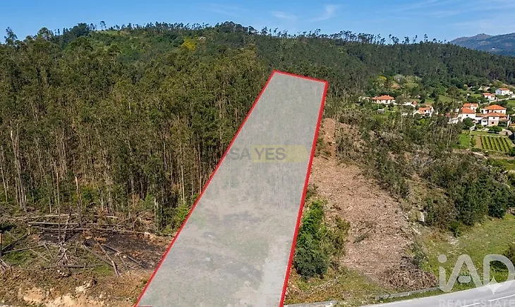 main-listing-picture-0
