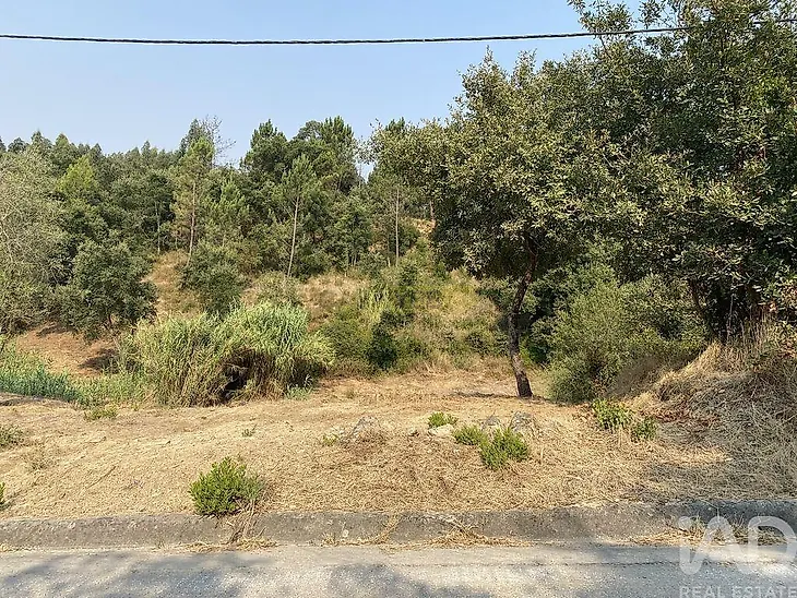 main-listing-picture-0