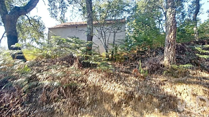 main-listing-picture-0