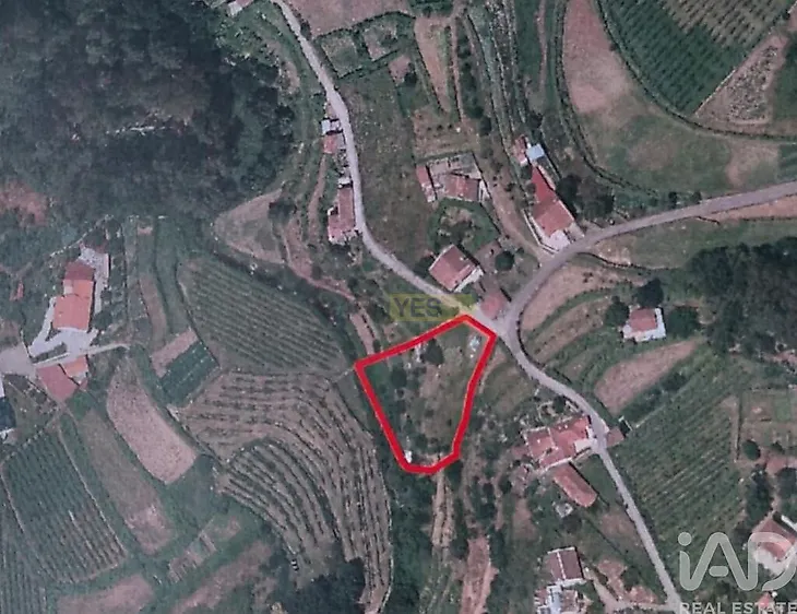 main-listing-picture-0