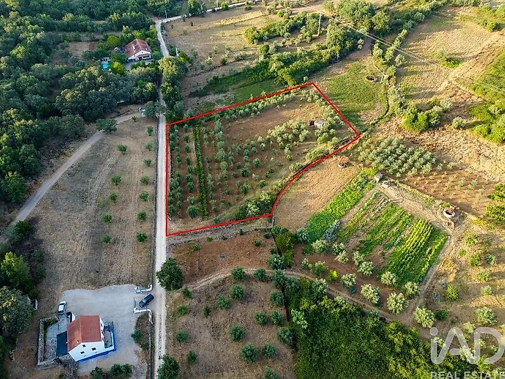 main-listing-picture-0