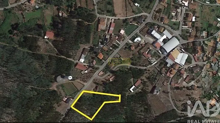 main-listing-picture-0
