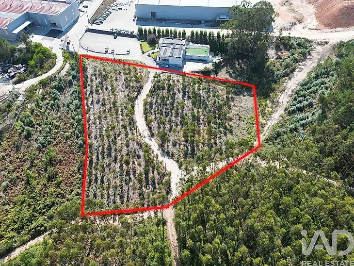 main-listing-picture-0