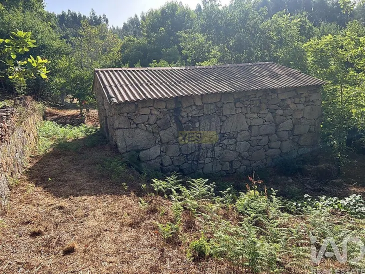 main-listing-picture-0