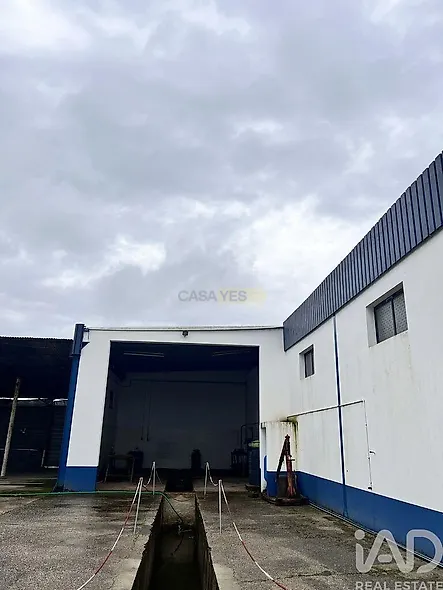 main-listing-picture-0