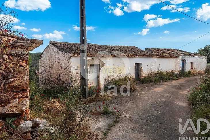 main-listing-picture-0