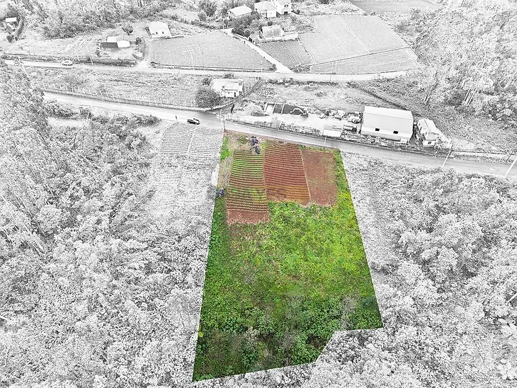 main-listing-picture-0
