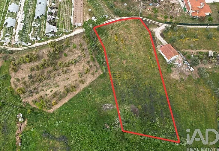 main-listing-picture-0