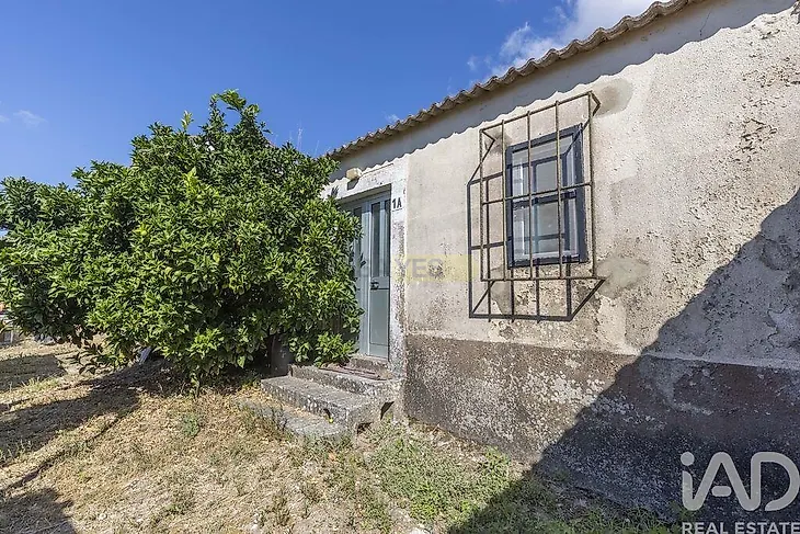 main-listing-picture-0
