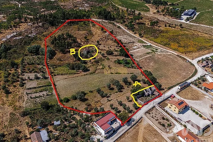 main-listing-picture-0