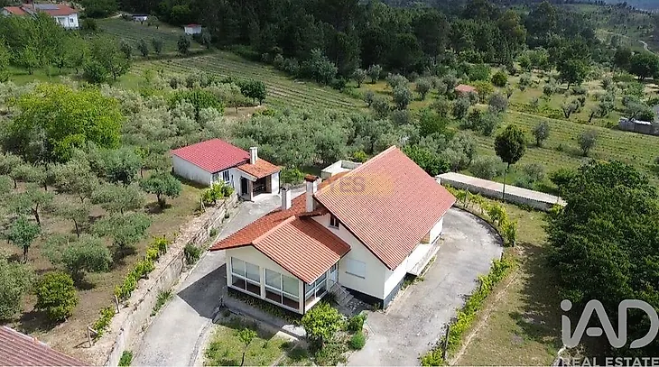 main-listing-picture-0