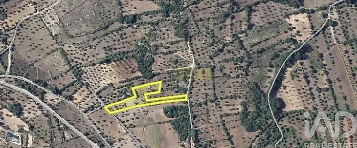 main-listing-picture-0