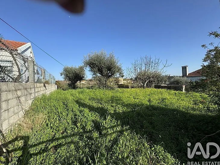 main-listing-picture-0