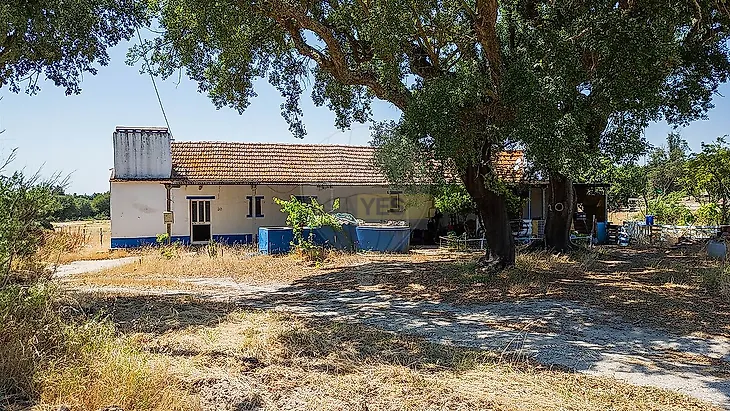 main-listing-picture-0