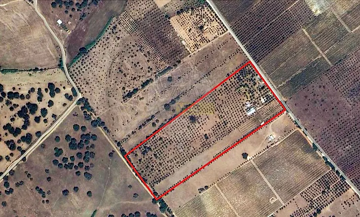 main-listing-picture-0