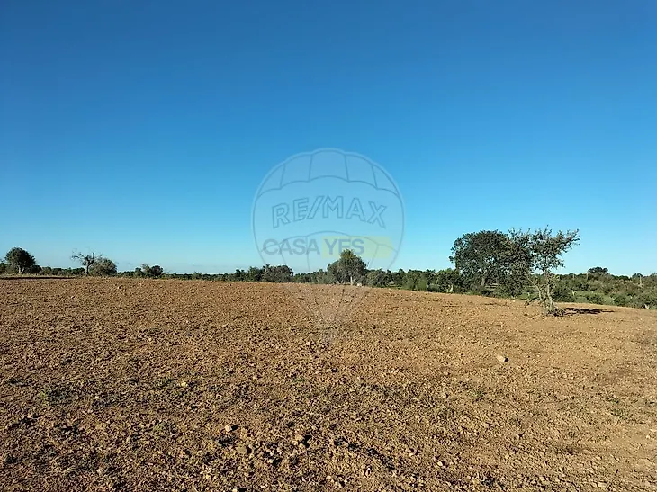 main-listing-picture-0