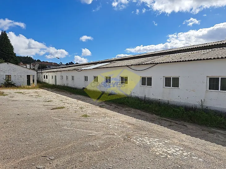 main-listing-picture-0