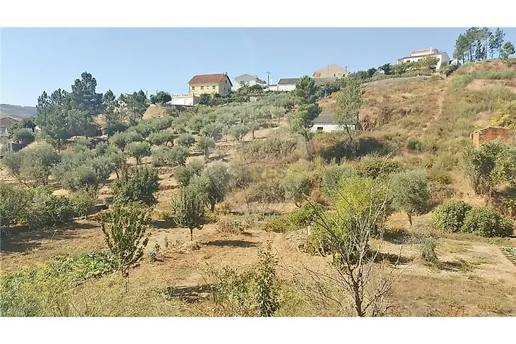 main-listing-picture-0