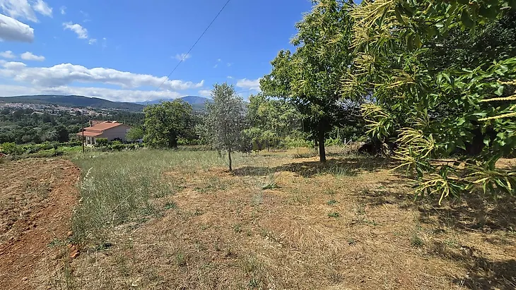 main-listing-picture-0
