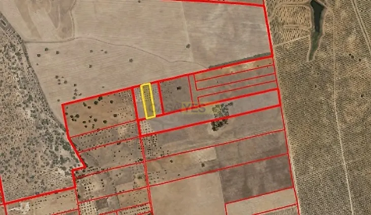 main-listing-picture-0