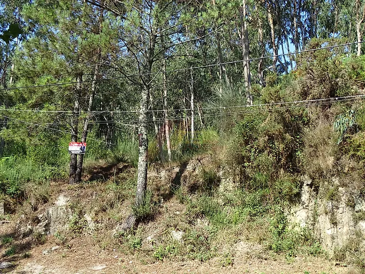 main-listing-picture-0