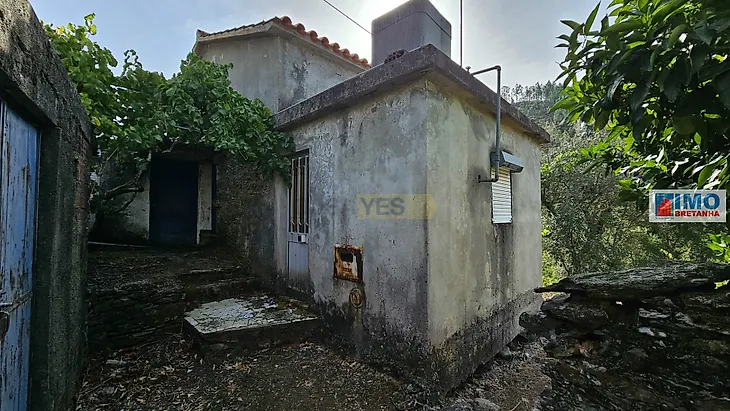 main-listing-picture-0