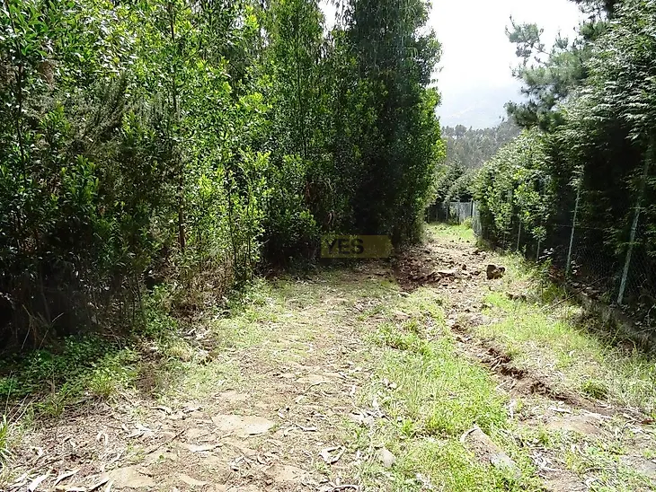 main-listing-picture-0