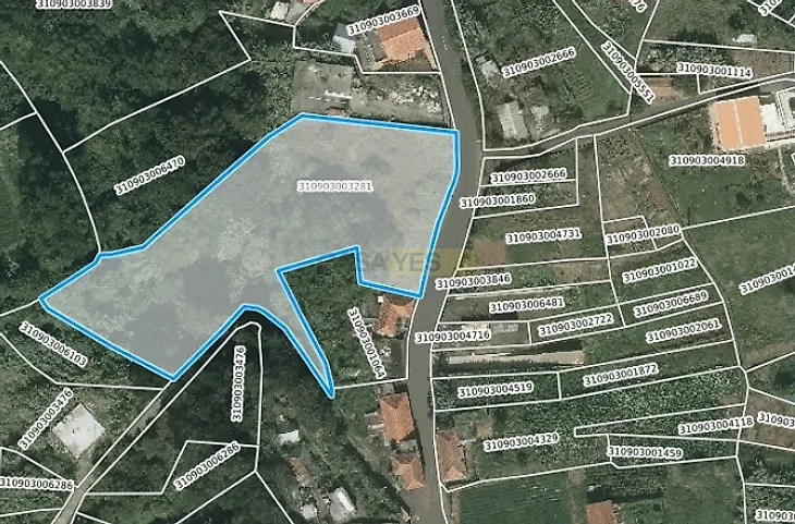 main-listing-picture-0