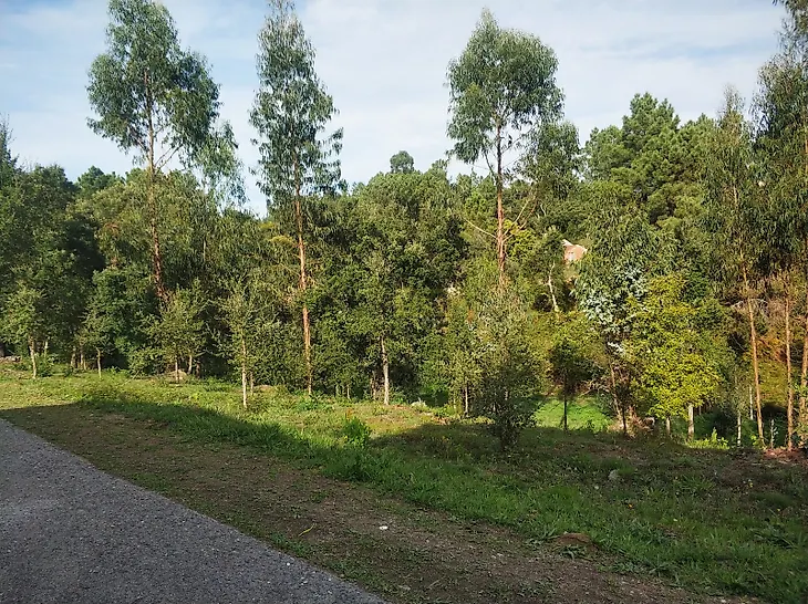 main-listing-picture-0