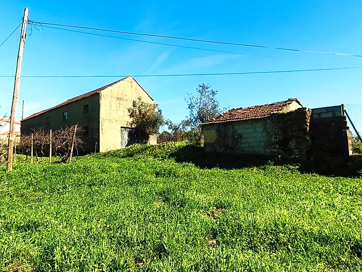 main-listing-picture-0