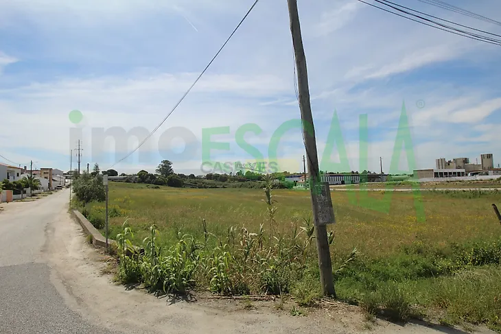 main-listing-picture-0
