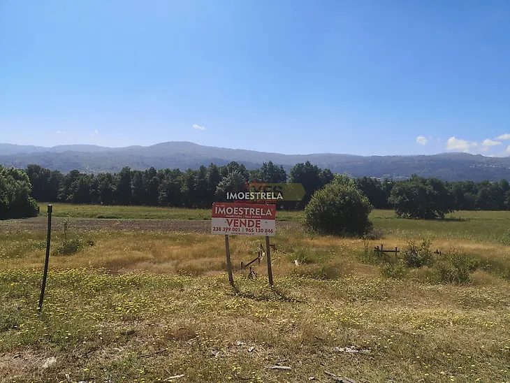 main-listing-picture-0