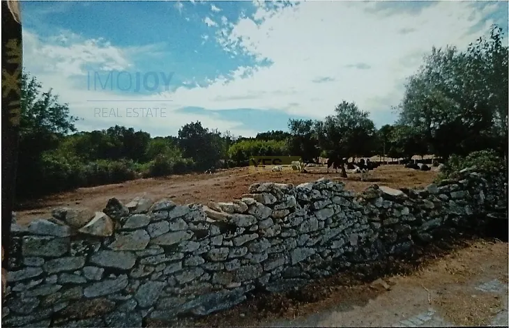 main-listing-picture-0