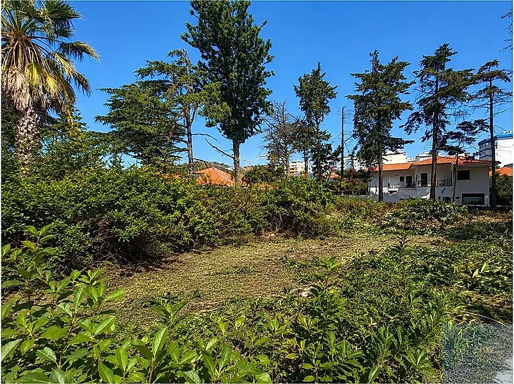 main-listing-picture-0