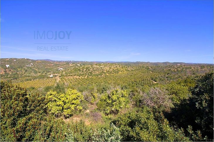 main-listing-picture-0