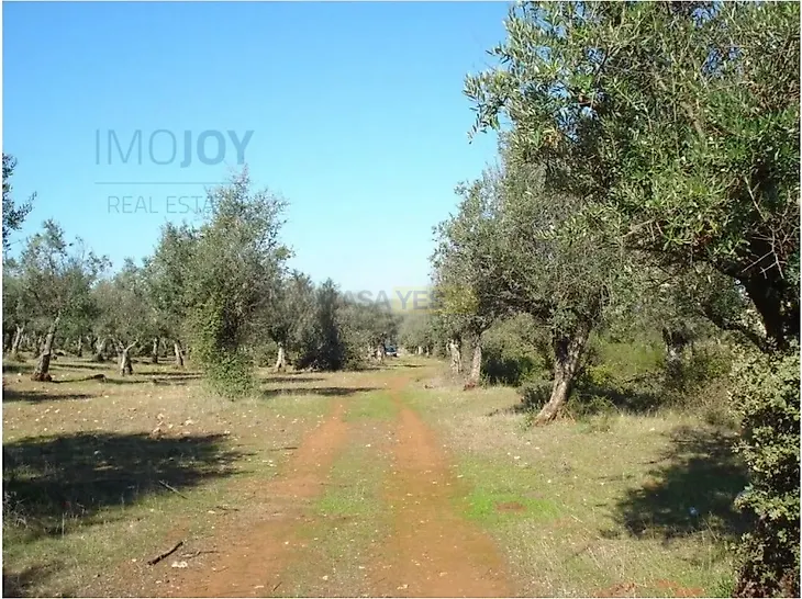 main-listing-picture-0